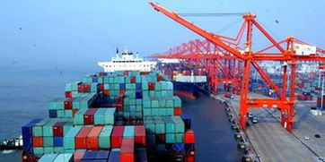 前7個(gè)月江西對(duì)非洲進(jìn)出口150.8億元 同比增長35.9%，養(yǎng)老服務(wù)合作潛力凸顯